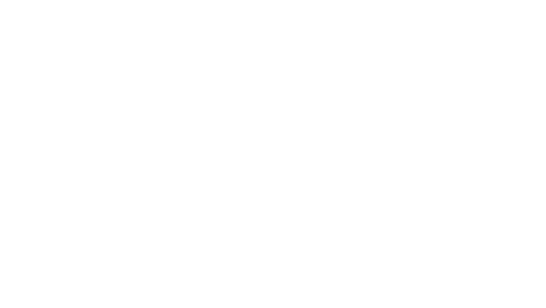 Z21
