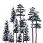 Preview: BUSCH 6150 H0 6 Schnee-Fichten und 4 Schnee-Kiefern 