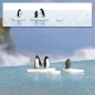 Preview: BUSCH 7923 H0 Pinguine auf Eisschollen