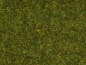 Preview: NOCH 08361 Streugras Wiese, 4 mm, 20g Beutel 