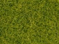 Preview: NOCH 08363 Streugras hellgrün, 4 mm, 20g Beutel