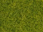 Preview: NOCH 08363 Streugras hellgrün, 4 mm, 20g Beutel 