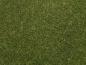 Preview: NOCH 08364 Streugras mittelgrün, 4 mm, 20g Beutel 