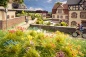 Preview: NOCH 06805 Blumen 250 Stück, grün-gelb, blau-weiß, Heide, Korn, Lavendel