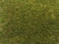 Preview: NOCH 07117 Wildgras Wiese, 9 mm, 50g Beutel 