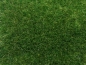 Preview: NOCH 07120 Wildgras dunkelgrün, 9 mm, 50g Beutel