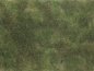 Mobile Preview: NOCH 07251 Bodendecker-Foliage olivgrün , 12 x 18 cm