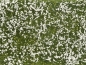 Mobile Preview: NOCH 07256 Bodendecker-Foliage Wiese weiß , 12 x 18 cm