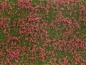 Preview: NOCH 07257 Bodendecker-Foliage Wiese rot , 12 x 18 cm