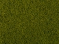 Preview: NOCH 07270 Klassische-Foliage hellgrün, 20 x 23 cm