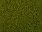 Preview: NOCH 07270 Klassische-Foliage hellgrün, 20 x 23 cm 