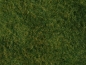 Preview: NOCH 07280 Wildgras-Foliage hellgrün, 20 x 23 cm