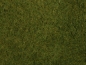 Preview: NOCH 07282 Wildgras-Foliage olivgrün, 20 x 23 cm