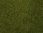 Preview: NOCH 07282 Wildgras-Foliage olivgrün, 20 x 23 cm 