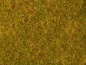 Preview: NOCH 07290 Wiesen-Foliage gelb-grün, 20 x 23 cm 