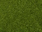 Preview: NOCH 07300 Laub-Foliage mittelgrün, 20 x 23 cm 