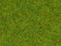 Preview: NOCH 50210 Streugras Frühlingswiese 2,5 mm, 100g Beutel 