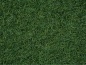 Preview: NOCH 50200 Streugras Moorboden 2,5 mm, 100g Beutel 