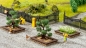 Preview: NOCH 14105 H0 Blumeninsel