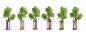 Preview: NOCH 21538 H0/TT Junge Bäume mit Baumstützen