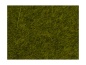 Preview: NOCH 07100 Wildgras, Wiese, 6 mm, 50g Beutel 