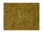 Preview: NOCH 07101 Wildgras, beige, 6 mm, 50g Beutel