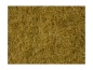 Preview: NOCH 07101 Wildgras, beige, 6 mm, 50g Beutel 