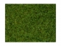 Preview: NOCH 07102 Wildgras, hellgrün, 6 mm, 50g Beutel