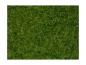 Preview: NOCH 07102 Wildgras, hellgrün, 6 mm, 50g Beutel 
