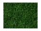 Preview: NOCH 07106 Wildgras, dunkelgrün, 6 mm, 50g Beutel 