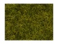 Preview: NOCH 07110 Wildgras XL Wiese, 12 mm, 40g Beutel 
