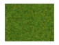 Preview: NOCH 08214 Streugras Zierrasen, 1,5 mm, 20g Beutel 