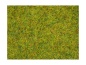 Preview: NOCH 08310 Streugras Sommerwiese, 2,5 mm, 20g Beutel 