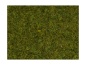 Preview: NOCH 08312 Streugras Wiese, 2,5 mm, 20g Beutel 