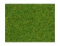 Preview: NOCH 08314 Streugras Zierrasen, 2,5 mm, 20g Beutel 