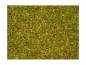 Preview: NOCH 08330 Streugras Blumenwiese, 2,5 mm, 20g Beutel