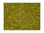 Preview: NOCH 08330 Streugras Blumenwiese, 2,5 mm, 20g Beutel 