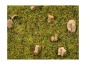 Preview: NOCH 08360 Streugras Steinige Bergwiese, 2,5 mm, 20g Beutel 