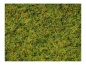 Preview: NOCH 07073 Master-Grasmischung Kuhweide, 2,5 bis 6 mm , 50g Beutel