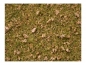 Preview: NOCH 07075 Master-Grasmischung Almwiese, 2,5 bis 6 mm , 50g Beutel