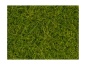 Preview: NOCH 07112 Wildgras XL hellgrün, 12 mm, 40g Beutel 