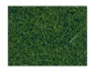Preview: NOCH 07116 Wildgras XL dunkelgrün, 12 mm, 40g Beutel 