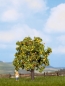 Preview: NOCH 21560 H0/TT/N Apfelbaum mit Früchten, 7,5 cm hoch