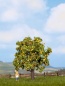 Preview: NOCH 21560 H0/TT/N Apfelbaum mit Früchten, 7,5 cm hoch 