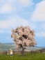 Preview: NOCH 21570 H0/TT/N Obstbaum blühend, 7,5 cm hoch