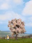 Preview: NOCH 21570 H0/TT/N Obstbaum blühend, 7,5 cm hoch 