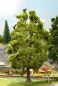 Preview: NOCH 21782 H0 Baum mit Vogelzwitschern 18,5 cm hoch 