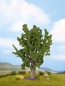 Preview: NOCH 25860 H0/TT/N Eiche, 15 cm hoch 