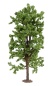 Preview: NOCH 25895 H0/TT/N Rosskastanie, 19 cm hoch 