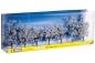 Preview: NOCH 25075 H0/TT/N Winterbäume 7 Stück, 8-10 cm hoch 